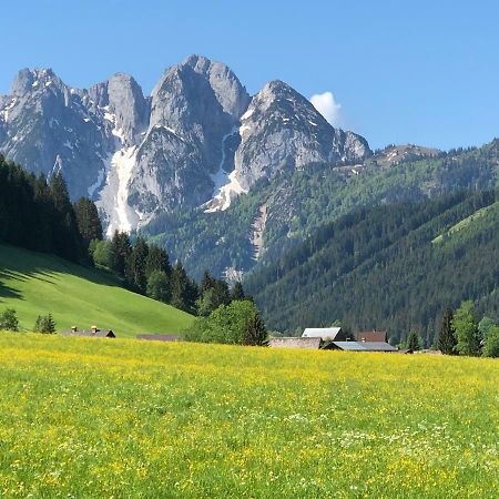 Ferienwohnung Kogelblick غوساو المظهر الخارجي الصورة