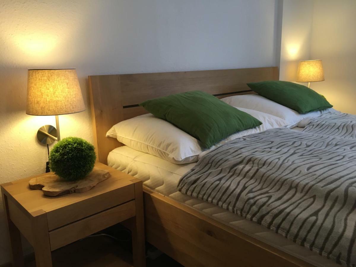 Ferienwohnung Kogelblick غوساو المظهر الخارجي الصورة
